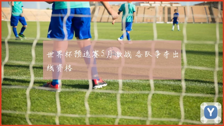 世界杯预选赛5月激战 各队争夺出线资格