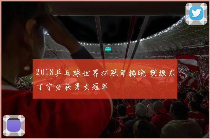 2018乒乓球世界杯冠军揭晓 樊振东丁宁分获男女冠军