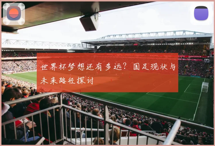世界杯梦想还有多远？国足现状与未来路径探讨