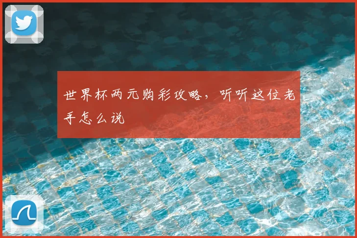 世界杯两元购彩攻略，听听这位老手怎么说