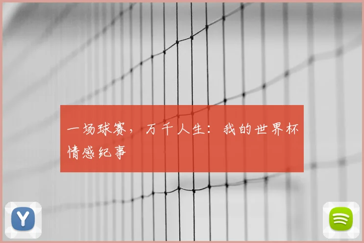 一场球赛，万千人生：我的世界杯情感纪事