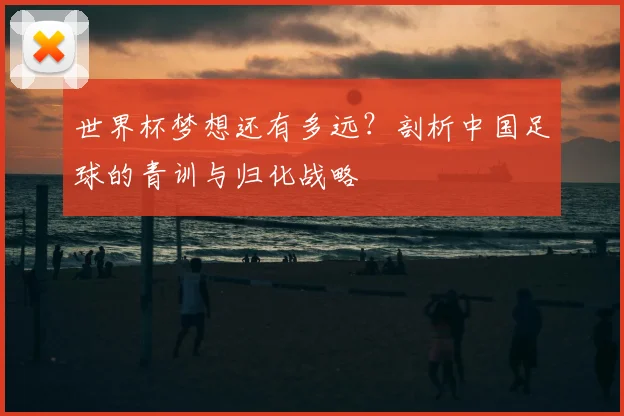 世界杯梦想还有多远？剖析中国足球的青训与归化战略