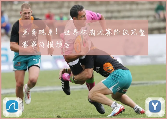 免费观看！世界杯淘汰赛阶段完整赛事海报预告