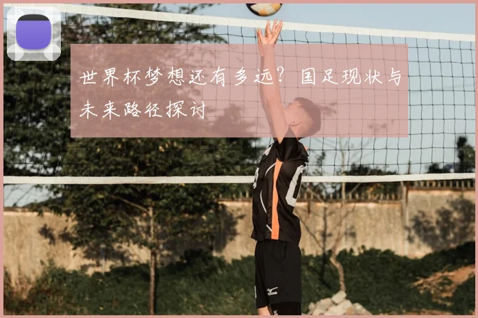 世界杯梦想还有多远？国足现状与未来路径探讨