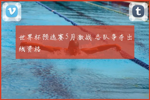 世界杯预选赛5月激战 各队争夺出线资格