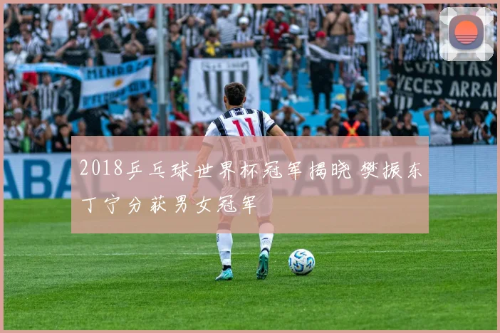 2018乒乓球世界杯冠军揭晓 樊振东丁宁分获男女冠军