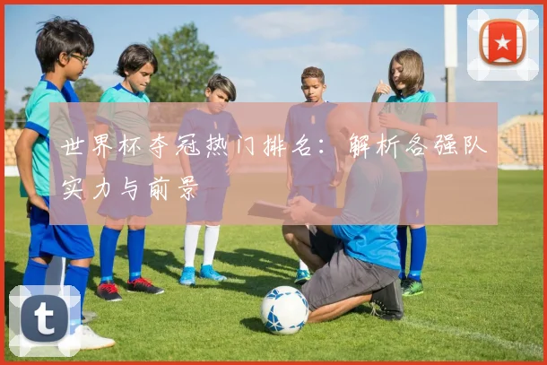 世界杯夺冠热门排名：解析各强队实力与前景