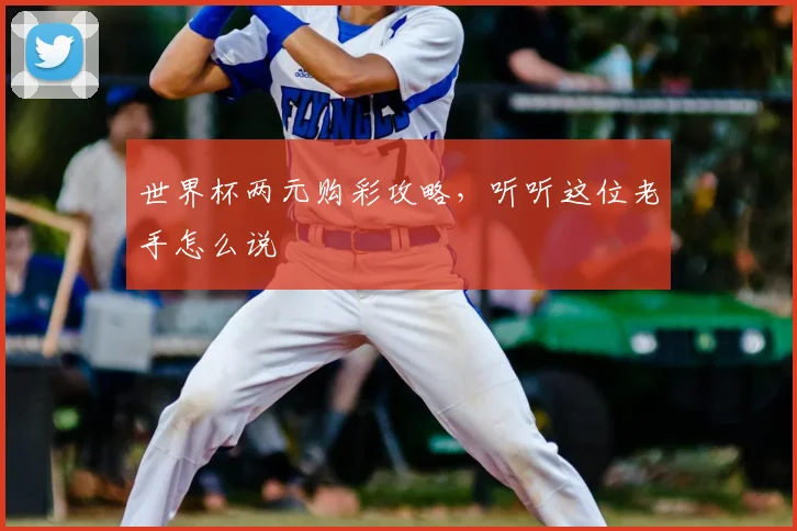 世界杯两元购彩攻略，听听这位老手怎么说