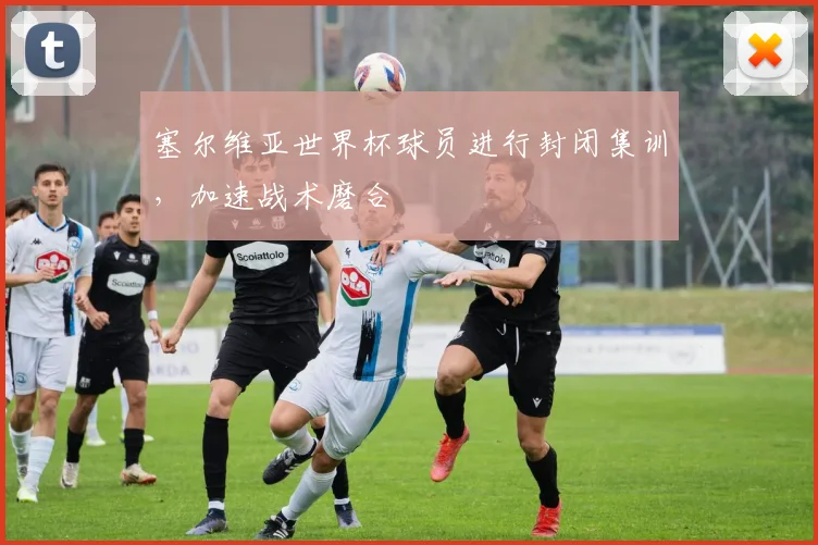 塞尔维亚世界杯球员进行封闭集训，加速战术磨合