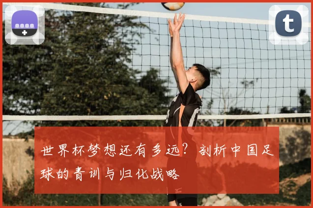 世界杯梦想还有多远？剖析中国足球的青训与归化战略